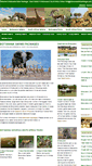 Mobile Screenshot of botswanasafaripackages.com